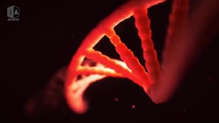 ساخت موجودات شگفت انگیز در سال 2020 - پایان دنیا ؟