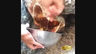 فیلم عسل های خام و خالص برکان