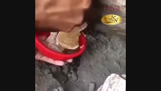 فیلم عسل وحشی برکان