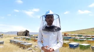 نقش زنبورعسل در کشاورزی!