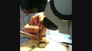 بزرگترین مرکز خدمات سمعک تهران