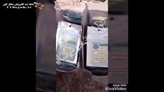باغ گل نسترن در دزفول ماموپلاستی