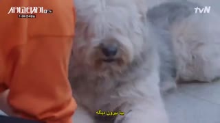 قسمت 07 سریال کره ای ماشین تحریر شیکاگو+زیرنویس چسبیده Chicago Typewriter 2017