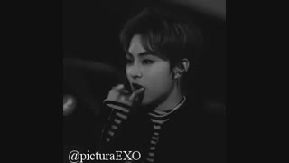 بیوگرافی اکسو