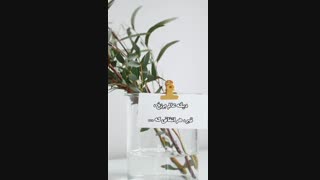 استاد غفاری ، احضار نشدن در قیامت