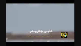 پرنده 2