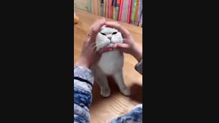 ج چالش چلنجی •~•