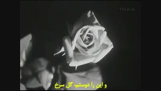موزیک ویدیو بسیار زیبای (دوست من گل سرخ) از فرانسواز هاردی با زیرنویس فارسی