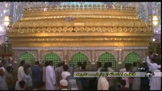 دفاع دختر بچه 12 ساله از ولایت امیرالمومنین علیه السلام