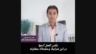 بحرانهای زندگی- شکست های بزرگ در زندگی- دکتر رضا همایونی - مدرس مهارتهای زندگی