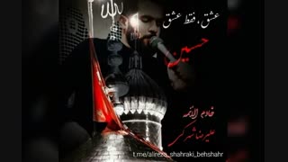 زینب زینب_مداحی شور علیرضا شهرکی