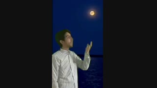 دلبر زیباتر از مهتاب - معین تبریزی