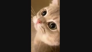 کپشن اجبارییییییی×_____×