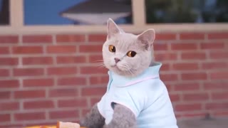 Is this seat taken? .fun