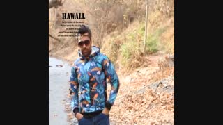 هودی مردانه HAWAII مدل 1813