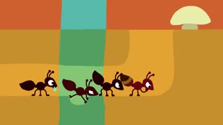 تفاوت رهبری و مدیریت