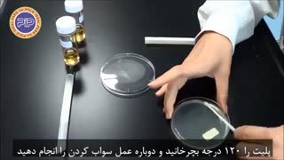 تست حساسیت آنتی بیوتیک (دیسک دیفیوژن)