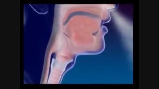 دستگاه تنفس