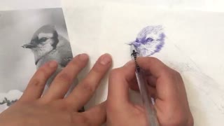 طراحی پرنده تکنیک خودکار . قسمت هشتم(آخر). افروزسعیدیان