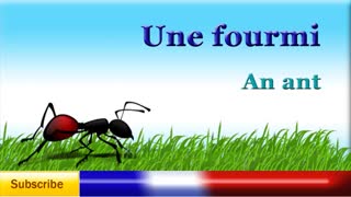 آموزش زبان فرانسوی