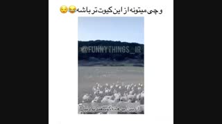 کیوت ترین ویدیوی جهان عااااالیییه