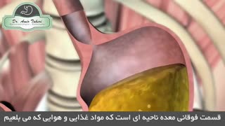 معده چگونه کار می کند؟