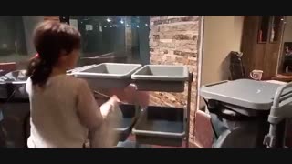 ترولی نظافتی