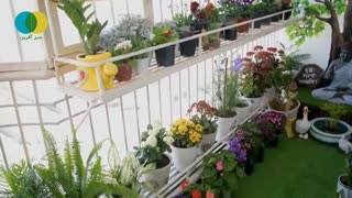 باغچه آپارتمانی در بالکن