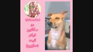 روی سگ هاتون فیگور انیمه ایی نزارید بابا :/
