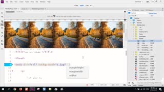 آموزش تنظیم تصویر برای پس زمینه در HTML به روش CSS نویسی و تگ