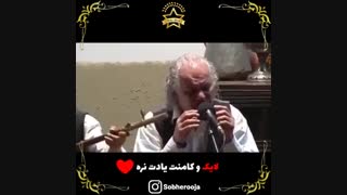 ربابه جان استاد خوشرو