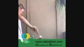 آموزش تکثیر سانسوریا