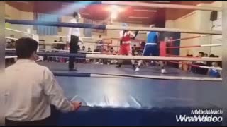 مسابقات امیررضا حاجی علیانی بوکس نوجوانان