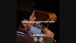 به فدای تو یاحسن بن علی