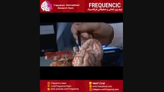 مغز افرادی که افسردگی دارند کوچک میشود. ( کاری از تیم بین المللی و تحقیقاتی فرکانسیک)