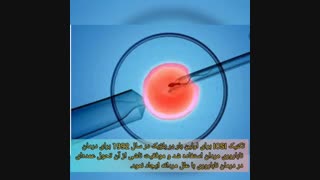 مراحل IVF و ICSI