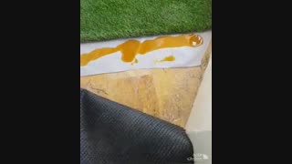 آموزش نصب چمن مصنوعی بدون تماس چسب با سطح | خانه چمن