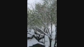 برف زنجان 99.09.07