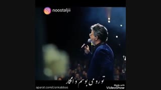 کنسرت معین، بهانه