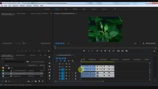 آموزش پریمیر بخش  ابزارها(tools)