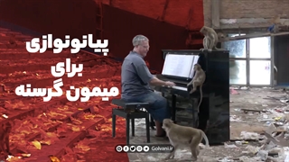 پیانونوازی برای میمون گرسنه