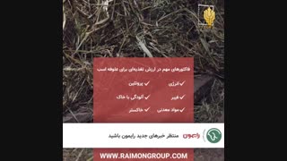 طراحی موشن اینستاگرام