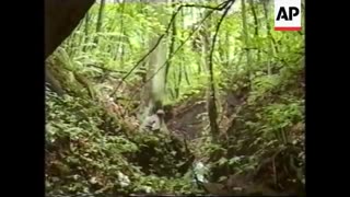 Bosnia - Heavy Fighting Around Dvar