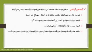 فصل 12 استاد