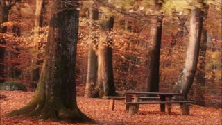 موسیقی زیبای پاییزی