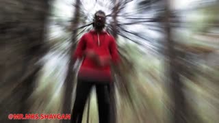 طویله خسروانی - علی شایگان