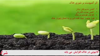 کاهش شوری خاک با کود کمپوست