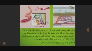 جلسه هفتم_گفتار آخر فصل سوم،تنوع تبادلات گازی