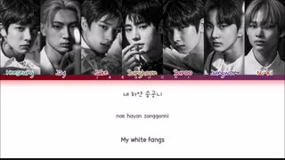 ENHYPEN  Given-Taken Color Coded Lyrics