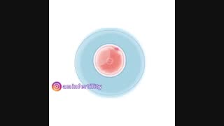 چگونگی انجام IVF